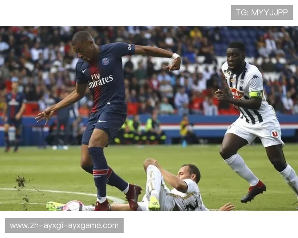 法甲里昂球迷活动的组织与文化建设